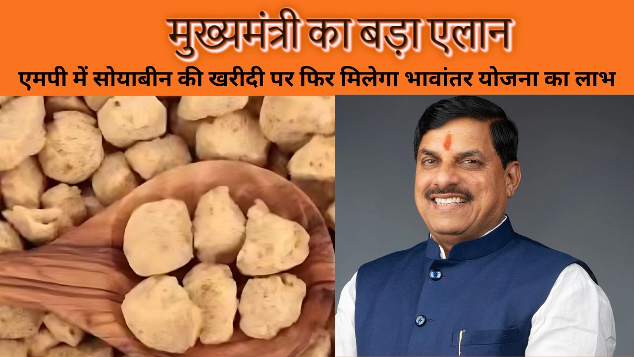 एमपी में सोयाबीन की खरीदी पर फिर मिलेगा भावांतर योजना का लाभ, मुख्यमंत्री का बड़ा एलान