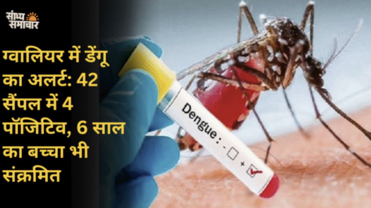 ग्वालियर में डेंगू अलर्ट