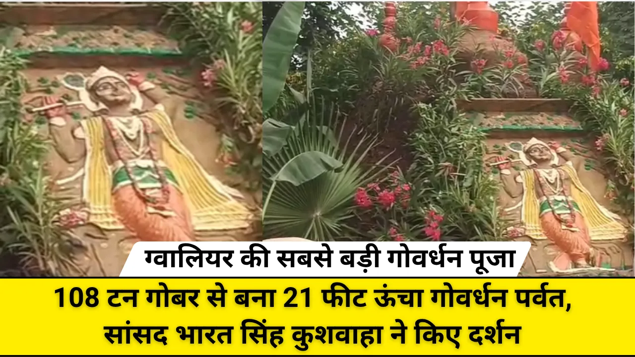 ग्वालियर की सबसे बड़ी गोवर्धन पूजा: 108 टन गोबर से बना 21 फीट ऊंचा गोवर्धन पर्वत, सांसद भारत सिंह कुशवाहा ने किए दर्शन