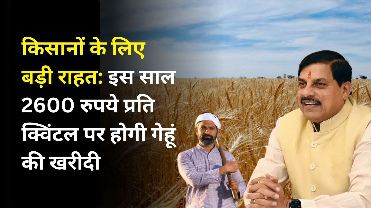किसानों के लिए बड़ी राहत: इस साल 2600 रुपये प्रति क्विंटल पर होगी गेहूं की खरीदी
