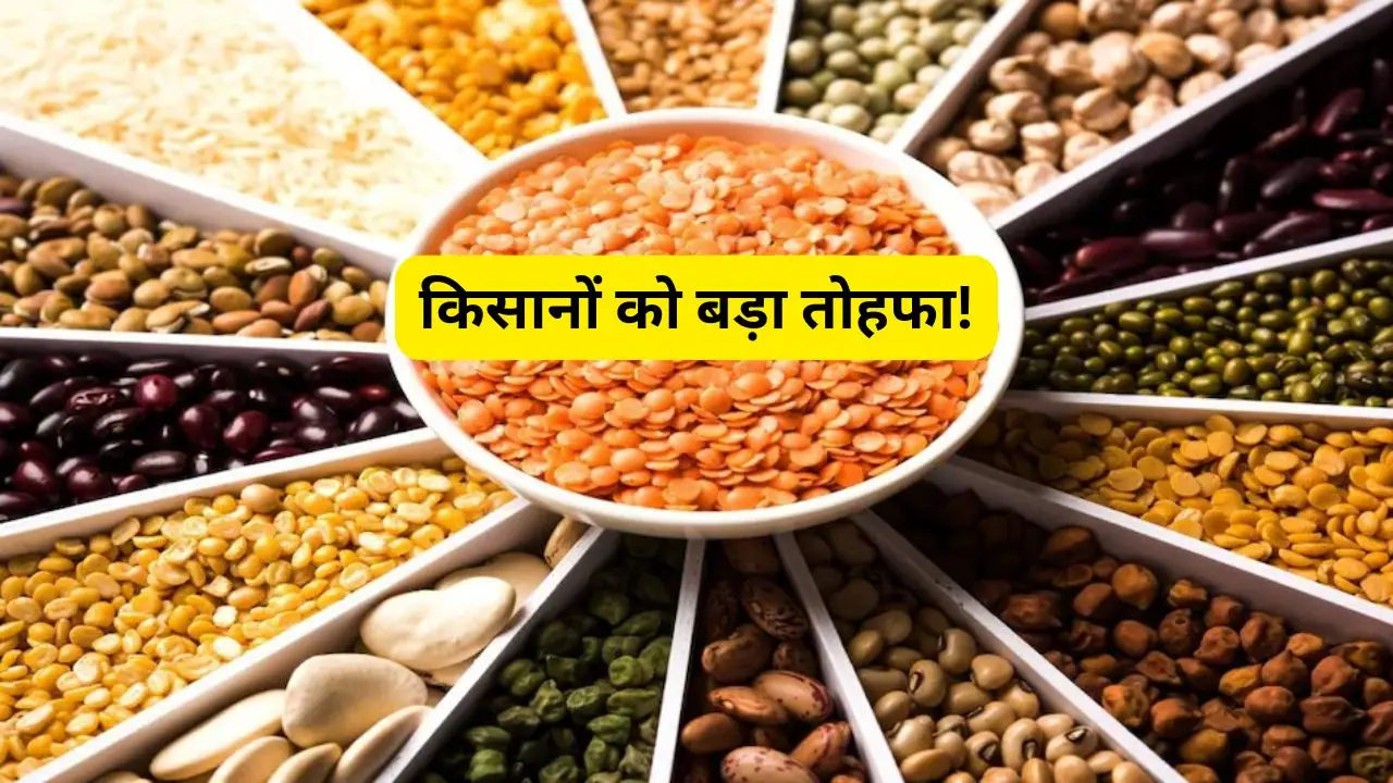 किसानों को बड़ा तोहफा! केंद्र करेगी दलहन की 100% खरीद, राज्यसभा में MSP पर गर्माई सियासत