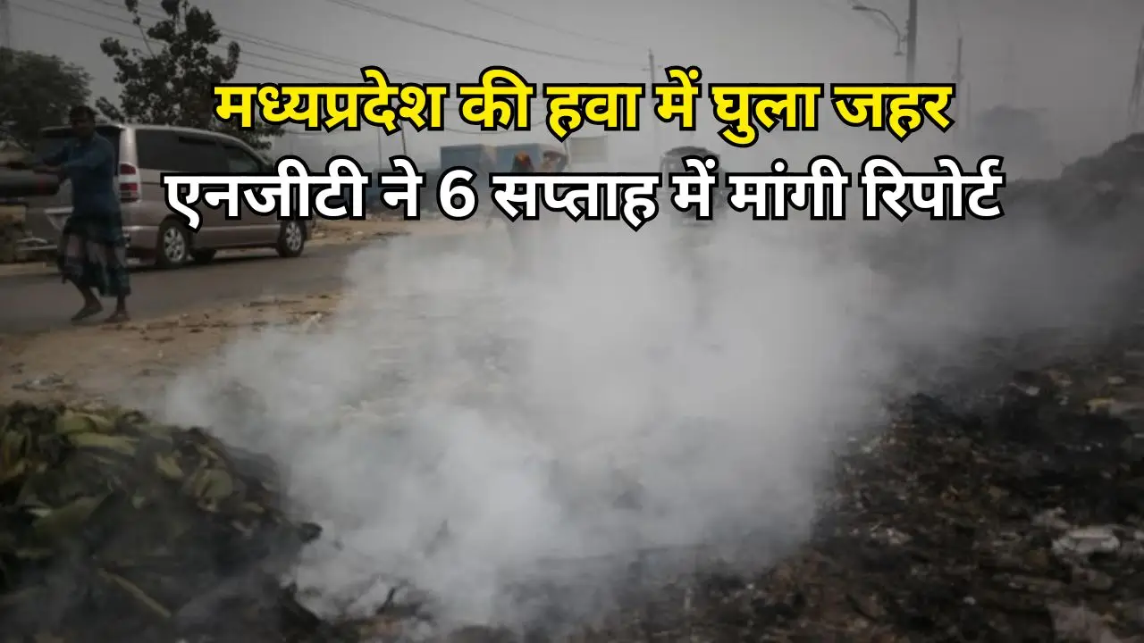मध्यप्रदेश की हवा में घुला जहर: एनजीटी ने 6 सप्ताह में मांगी रिपोर्ट