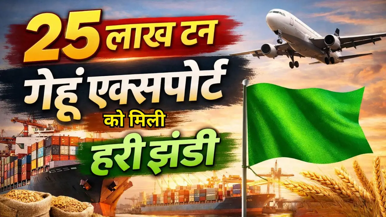 25 लाख टन गेहूं एक्सपोर्ट को मिली हरी झंडी