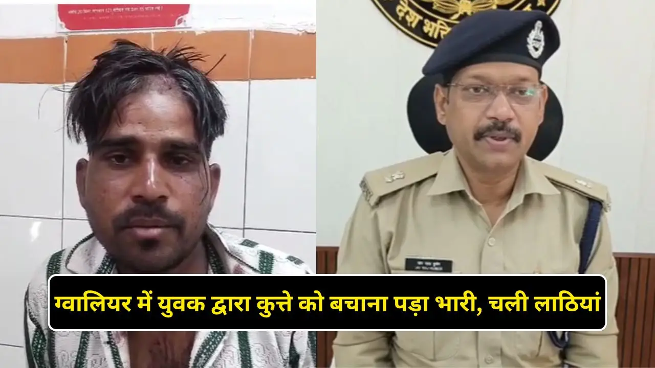 ग्वालियर में युवक द्वारा कुत्ते को बचाना पड़ा भारी, चली लाठियां
