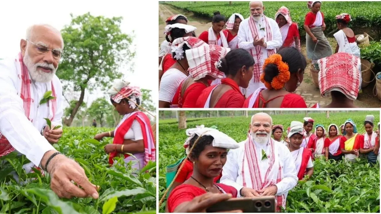 पीएम मोदी ने असम पहुंचकर तोड़ी चाय की पत्ती, जीता श्रमिकों का दिल
