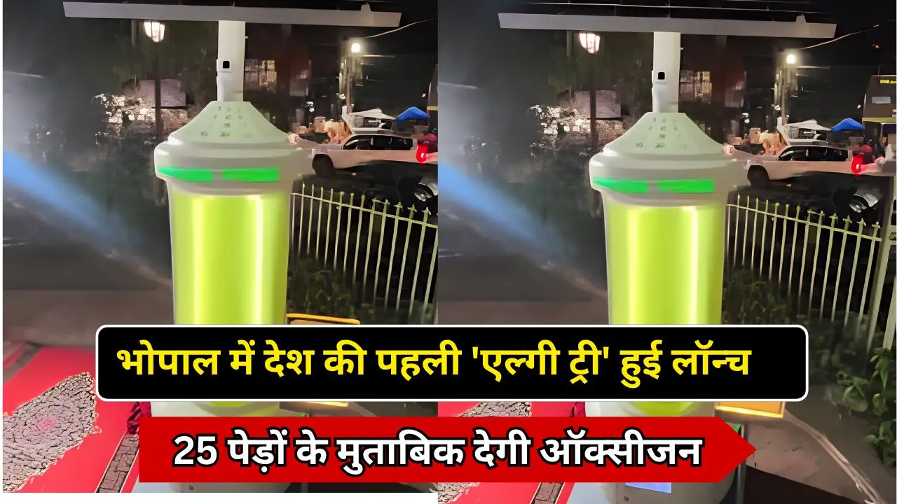 भोपाल में देश की पहली 'एल्गी ट्री' हुई लॉन्च, 25 पेड़ों के मुताबिक देगी ऑक्सीजन