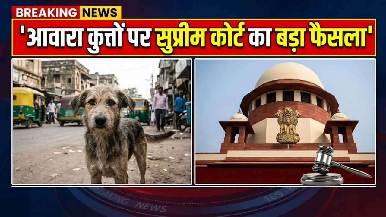 आवारा कुत्तों पर सुप्रीम कोर्ट ने कसी लगाम