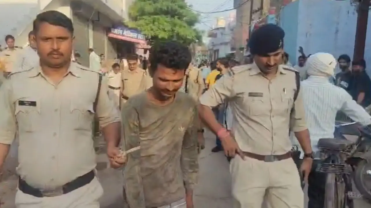 Shameful act committed against cattle in Gwalior